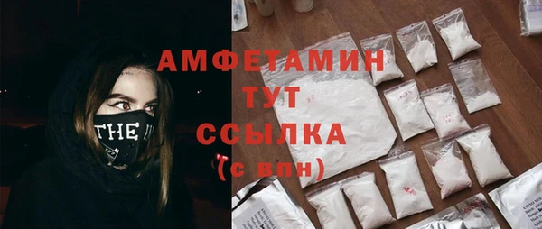 сатива Гусь-Хрустальный