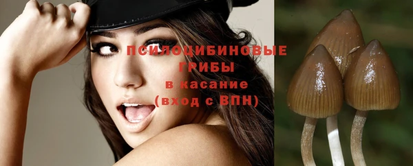 сатива Гусь-Хрустальный
