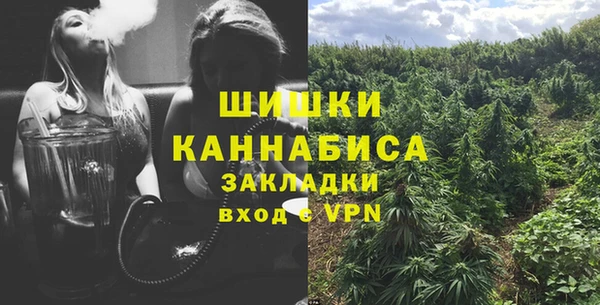 сатива Гусь-Хрустальный