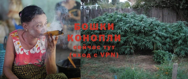 сатива Гусь-Хрустальный