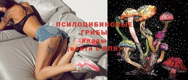 сатива Гусь-Хрустальный