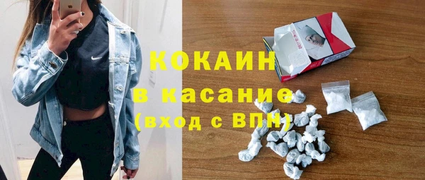 винт Гусев