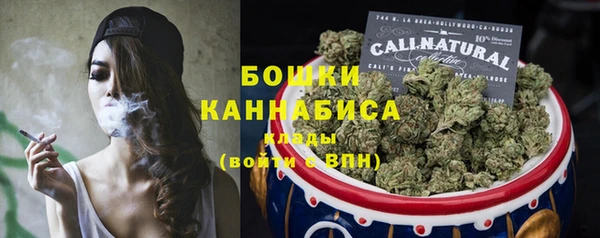 сатива Гусь-Хрустальный