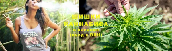 сатива Гусь-Хрустальный
