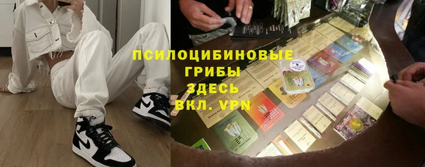 альфа пвп Гусиноозёрск